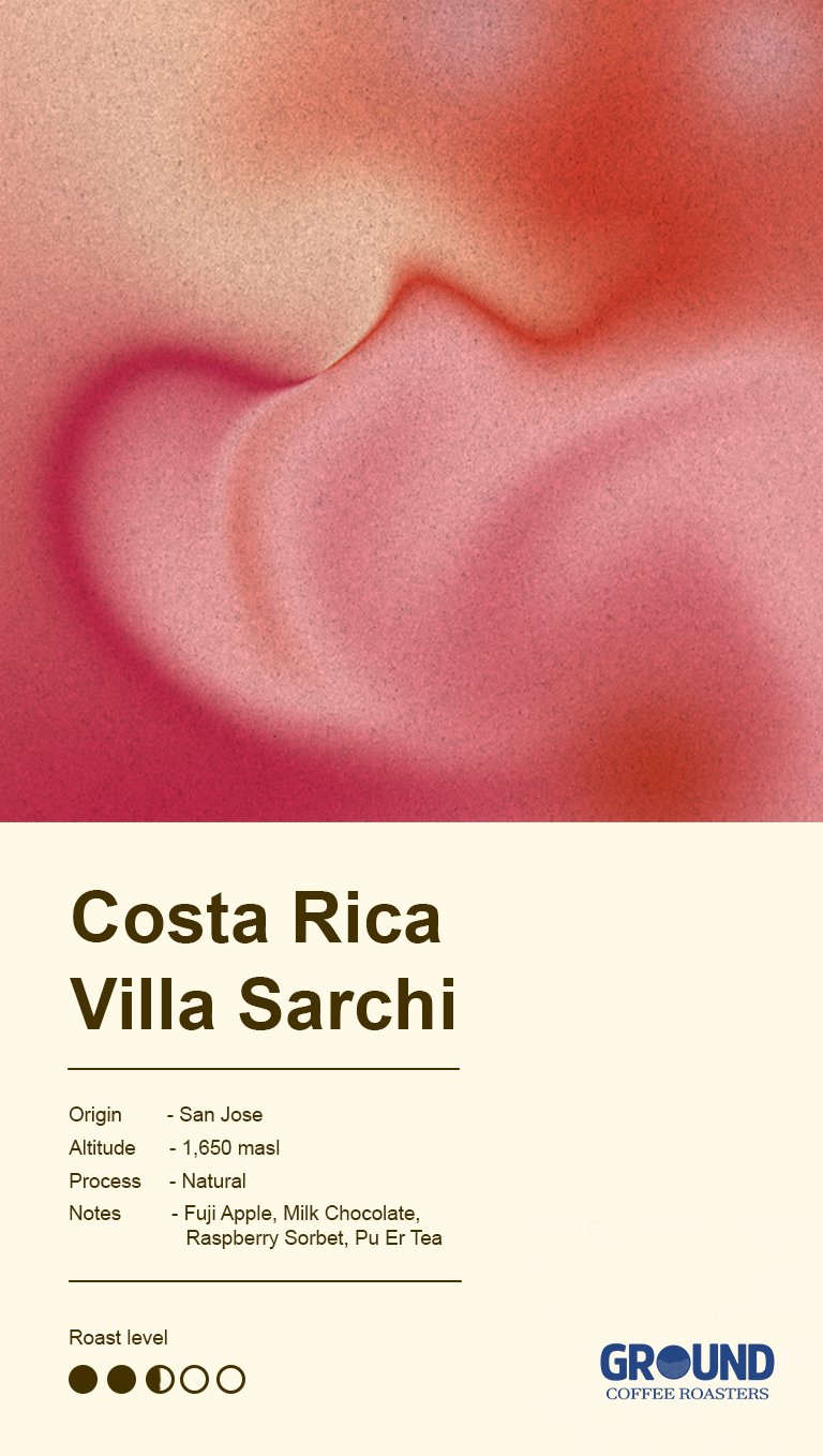 Costa Rica Villa Sarchi