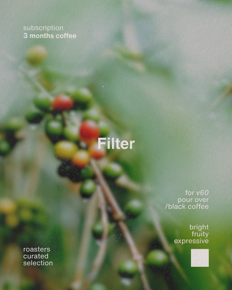 Filter